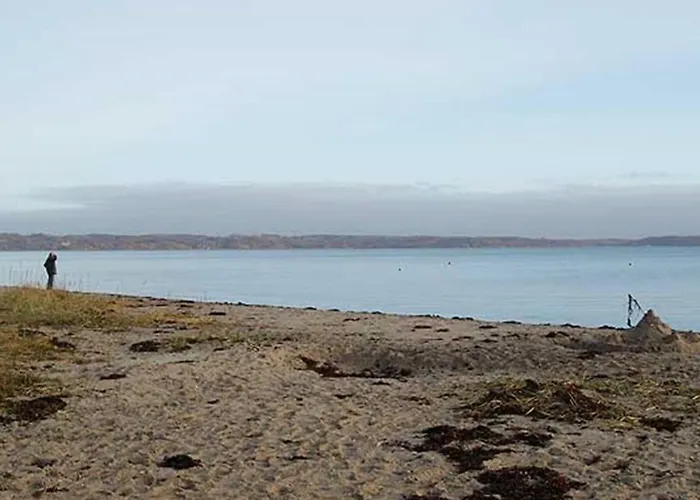 Emmik - 150m From The Sea By Interhome Børkop